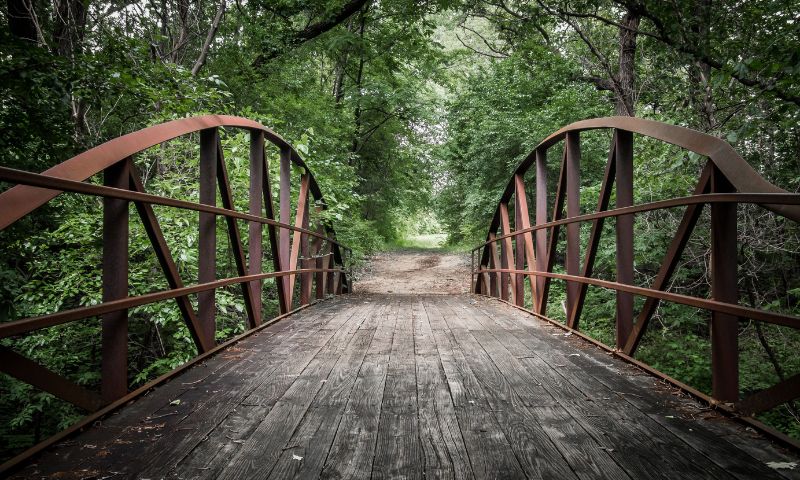Bridge